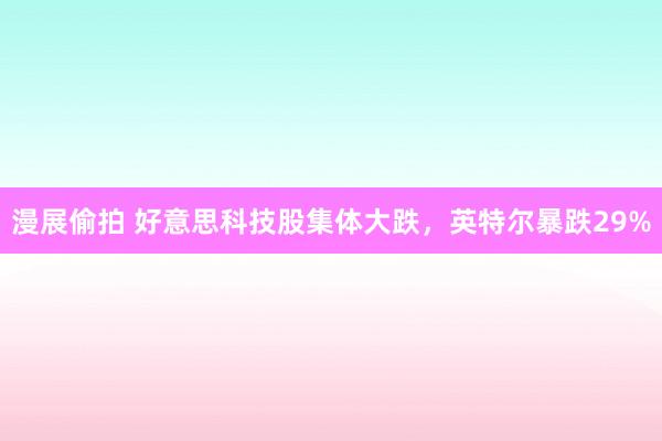 漫展偷拍 好意思科技股集体大跌，英特尔暴跌29%