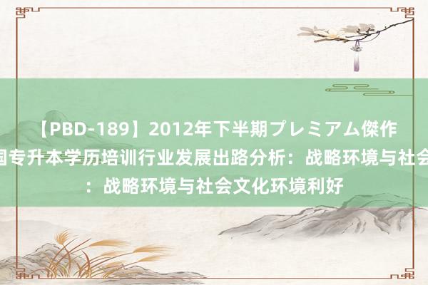 【PBD-189】2012年下半期プレミアム傑作選 2024年中国专升本学历培训行业发展出路分析：战略环境与社会文化环境利好