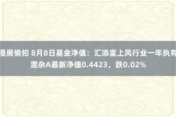 漫展偷拍 8月8日基金净值：汇添富上风行业一年执有混杂A最新净值0.4423，跌0.02%