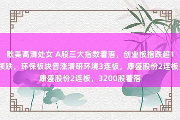 欧美高清处女 A股三大指数着落，创业板指跌超1%！医药医疗领跌，环保板块普涨清研环境3连板，康盛股份2连板，3200股着落