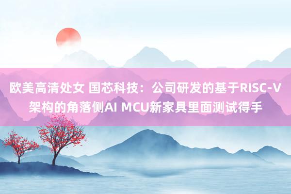 欧美高清处女 国芯科技：公司研发的基于RISC-V架构的角落侧AI MCU新家具里面测试得手
