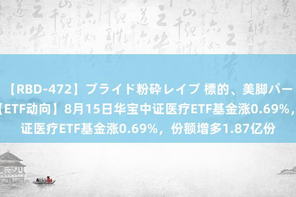 【RBD-472】プライド粉砕レイプ 標的、美脚パーツモデル ASUKA 【ETF动向】8月15日华宝中证医疗ETF基金涨0.69%，份额增多1.87亿份