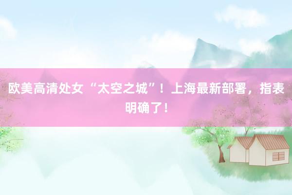欧美高清处女 “太空之城”！上海最新部署，指表明确了！