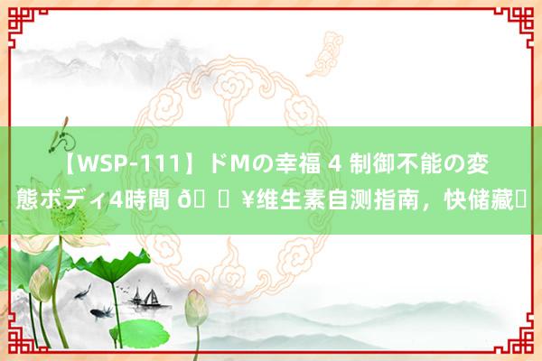 【WSP-111】ドMの幸福 4 制御不能の変態ボディ4時間 ?维生素自测指南,快储藏❗