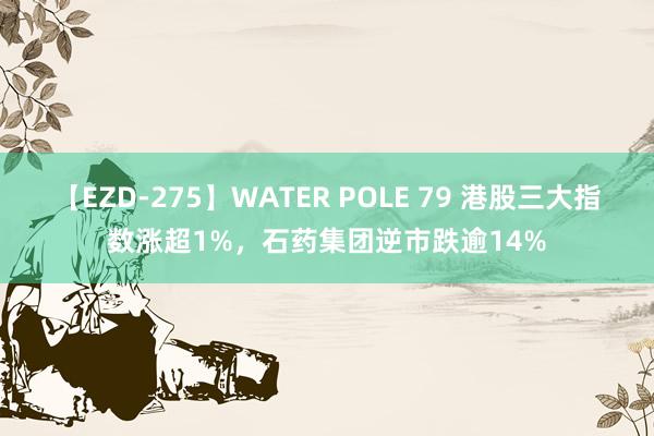 【EZD-275】WATER POLE 79 港股三大指数涨超1%，石药集团逆市跌逾14%