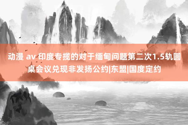 动漫 av 印度专揽的对于缅甸问题第二次1.5轨圆桌会议兑现非发扬公约|东盟|国度定约
