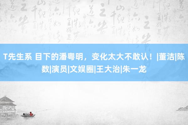 T先生系 目下的潘粤明，变化太大不敢认！|董洁|陈数|演员|文娱圈|王大治|朱一龙