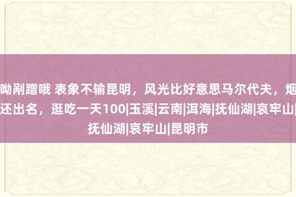 呦剐蹭哦 表象不输昆明，风光比好意思马尔代夫，烟比城市还出名，逛吃一天100|玉溪|云南|洱海|抚仙湖|哀牢山|昆明市