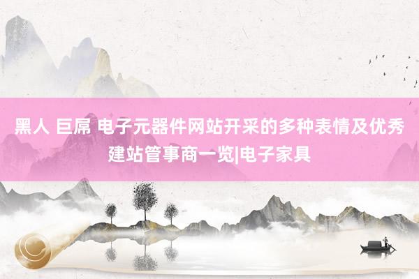 黑人 巨屌 电子元器件网站开采的多种表情及优秀建站管事商一览|电子家具