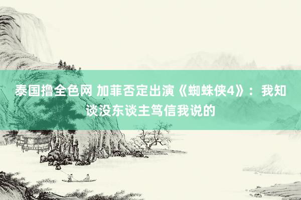 泰国撸全色网 加菲否定出演《蜘蛛侠4》：我知谈没东谈主笃信我说的
