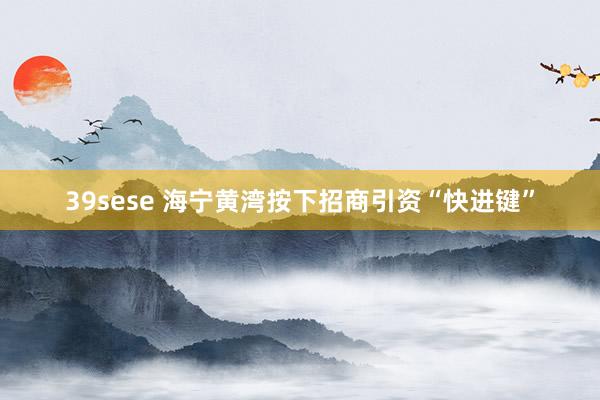 39sese 海宁黄湾按下招商引资“快进键”