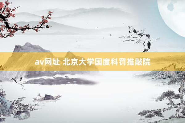 av网址 北京大学国度科罚推敲院
