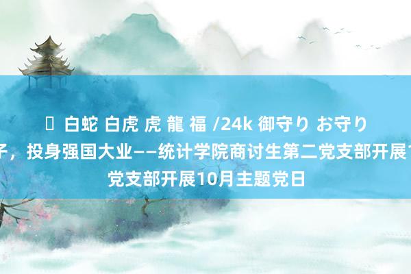 ✨白蛇 白虎 虎 龍 福 /24k 御守り お守り 高举伟大旗子，投身强国大业——统计学院商讨生第二党支部开展10月主题党日