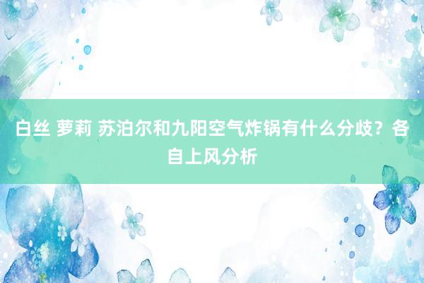 白丝 萝莉 苏泊尔和九阳空气炸锅有什么分歧？各自上风分析