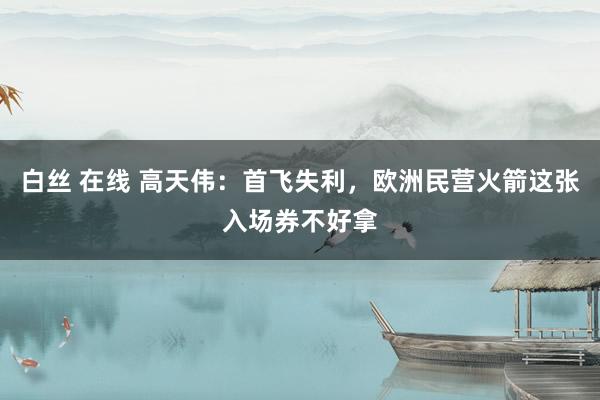 白丝 在线 高天伟：首飞失利，欧洲民营火箭这张入场券不好拿