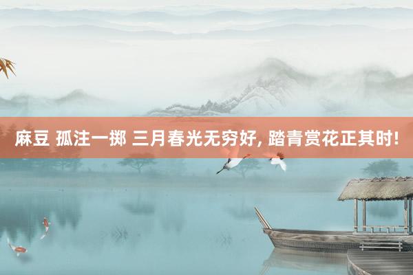 麻豆 孤注一掷 三月春光无穷好， 踏青赏花正其时!