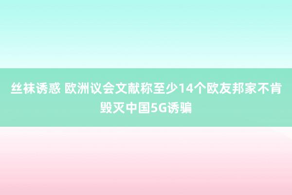 丝袜诱惑 欧洲议会文献称至少14个欧友邦家不肯毁灭中国5G诱骗