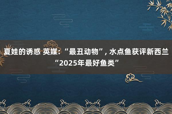 夏娃的诱惑 英媒: “最丑动物”， 水点鱼获评新西兰“2025年最好鱼类”