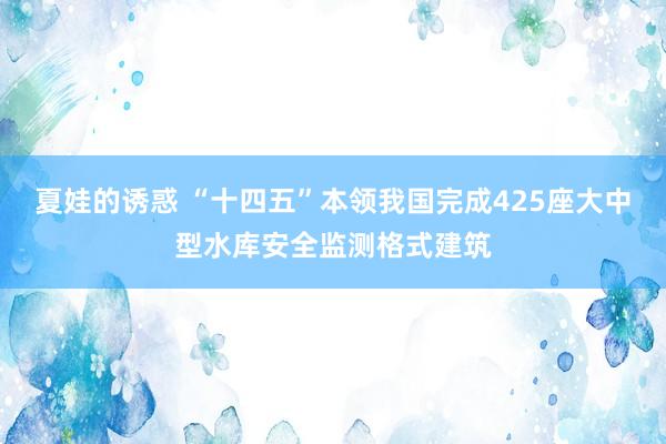夏娃的诱惑 “十四五”本领我国完成425座大中型水库安全监测格式建筑