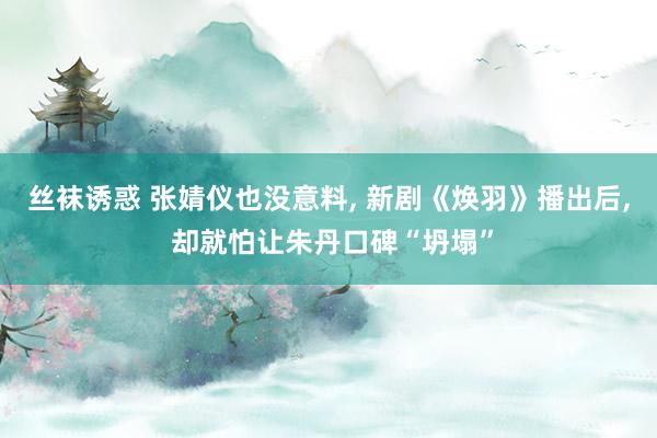 丝袜诱惑 张婧仪也没意料， 新剧《焕羽》播出后， 却就怕让朱丹口碑“坍塌”