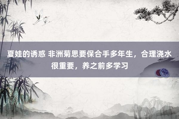 夏娃的诱惑 非洲菊思要保合手多年生，合理浇水很重要，养之前多学习