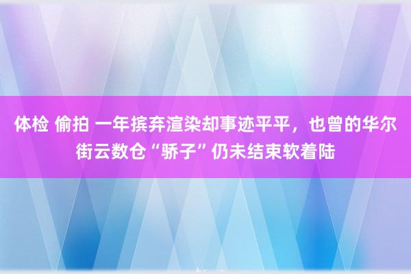 体检 偷拍 一年摈弃渲染却事迹平平，也曾的华尔街云数仓“骄子”仍未结束软着陆